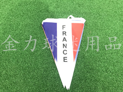 French triangle bunting the flags of the nations of the world bunting the flags of the golden flag streamers flag