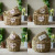 Idyllic and Creative Wicker Straw Baskets Handmade Woven Flower Pot Flower Arrangement Basket Green Plant Green Radish Succulent Flower Pot Wholesale