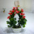 Miniature miniature bonsai flower potted plant manufacturers direct sales simulation flowers