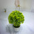 Miniature miniature bonsai flower potted plant manufacturers direct sales simulation flowers