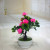 Miniature miniature bonsai flower potted plant manufacturers direct sales simulation flowers