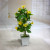 Miniature miniature bonsai flower potted plant manufacturers direct sales simulation flowers