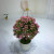 Miniature miniature bonsai flower potted plant manufacturers direct sales simulation flowers