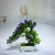 Miniature miniature bonsai flower potted plant manufacturers direct sales simulation flowers