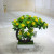 Miniature miniature bonsai flower potted plant manufacturers direct sales simulation flowers