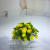 Miniature miniature bonsai flower potted plant manufacturers direct sales simulation flowers