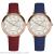 19 years new simple digital face sun grain fashion women's watch