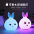 Little night light cute rabbit silicone lamp colorful USB cute pet remote control cartoon LED vent atmosphere light