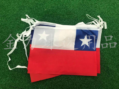 Chile square bunting the flags of all countries in the world bunting the flags of the golden flag streamers flag