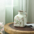  white background warbler flower fine rain porcelain vase small size furnishings household 