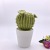 Nordic modern ceramic creative cactus flower pot decoration bedroom green decoration cactus decoration