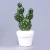 Cactus furnishings simulation plant potted living room study balcony creative European furnishings