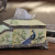 Painted resin yellow background blue feather finch multi-functional tissue box home accessories display paper box 