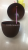 Hawaiian Coconut Cup Drink Cup