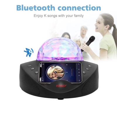 Manufacturers direct sales of the new SD308 microphone home KTV portable outdoor wireless microphone bluetooth speaker