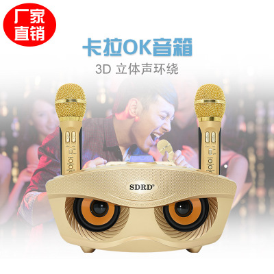 Karaoke speaker SD306 wireless microphone home KTV outdoor portable wireless microphone