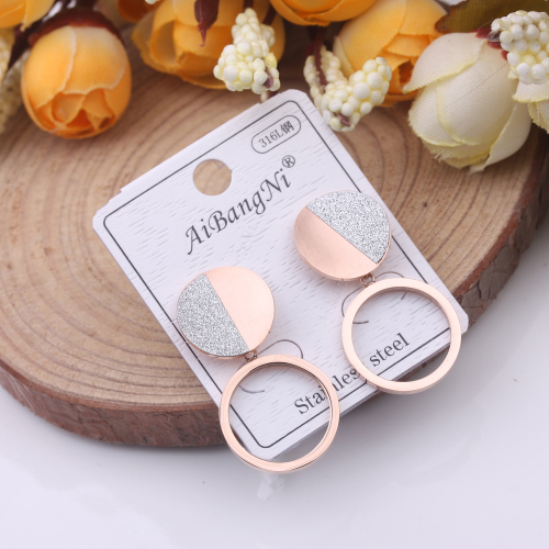 10 yuan store ornament anti-allergy titanium steel earrings internet celebrity fashion earrings all-match temperamental earrings ornament female