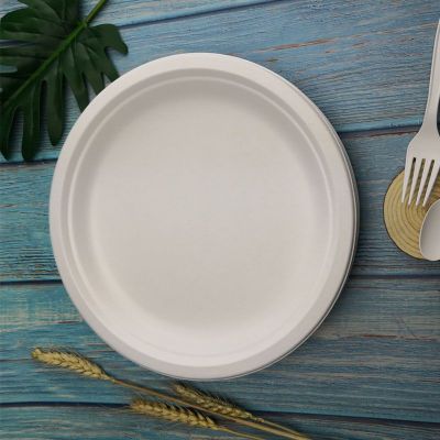 Disposable environment-friendly degradable tableware food grade sugarcane pulp paper plate