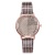 Wish new fashion cutting surface plaid belt ladies watch leisure free quartz watch wholesale