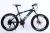 Bike adult mountain bike 24 \