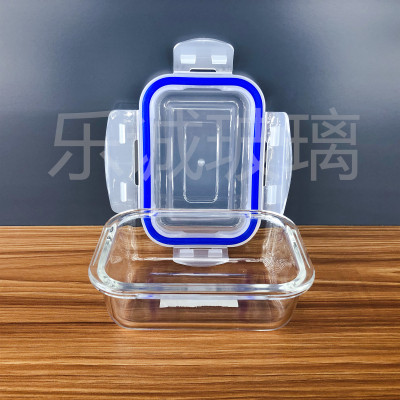 High Borosilicate Hard Glass Hot and Cold Preservation Box