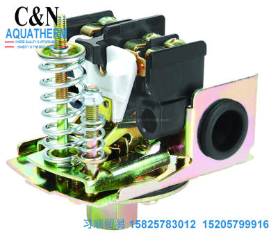 Automatic pump controller water pump