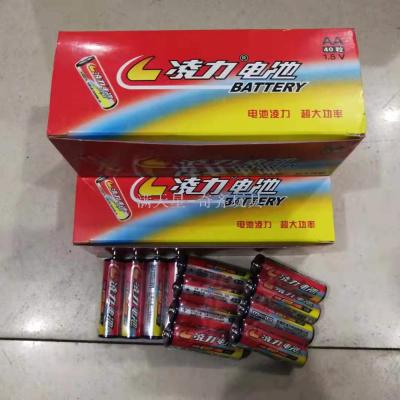 Lingli battery guangdong famous brand discharge time long price beautiful material cheap