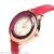 Hot style Korean edition colour crystal face strap ladies watch