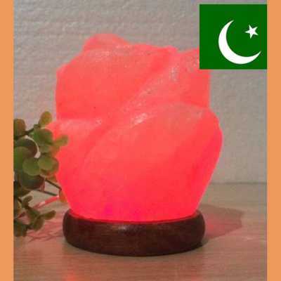 Rose shaped salt lamp Himalayan craft carving crystal salt lamp salt crystal stone lamp