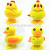 6 small yellow duck blisters (box)