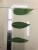 Single lily leaf high - grade single leaf large - medium - sized screen printing film simulation leaf