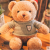 Teddy bear doll stuffed toy bear cuddle bear doll pillow birthday gift factory direct sale
