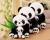 Factory direct panda doll gifts wholesale with bamboo panda plush toys logo set