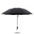 Korean Creative Striped Vinyl Umbrella Fresh Couple Black and White Checkered Umbrella Princess Umbrella Sun Umbrella