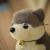 Cute husky plush toy bell dog two ha simulation puppy doll