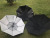 Water jet fan umbrella with fan with spray device umbrella sun protection umbrella creative hot style umbrella