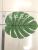 Film screen printing of giant tortoises back leaf old turtle cover leaf turtle wang ba cover leaf simulation leaf