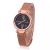 Foreign trade approved with calendar star surface suction iron female watch red net with female students quartz watch