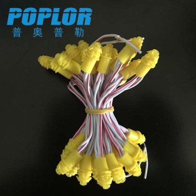 LED exposed lamp / light string /white/12mm / single lamp / billboards words light / waterproof / perforated lamp /DC12V