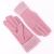 Factory direct sales of autumn and winter warm touch screen lady's gloves driving bicycle two sets of fashionable gloves