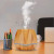 New Classic Mini Wood Grain Aromatherapy Humidifier Creative Gift Air Purifier Foreign Trade Model