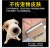 Manufacturers wholesale foreign trade pet electric hair clipper dog shaver hairdressing rechargeable teddy dog hair electric hair shaver