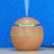 006 Wood Grain Aroma Diffuser