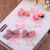 Pudding Station 5 Yuan Store Supply Children's Hair Accessories Headdress Girls Hairpin Baby Princess Hairpin Clip