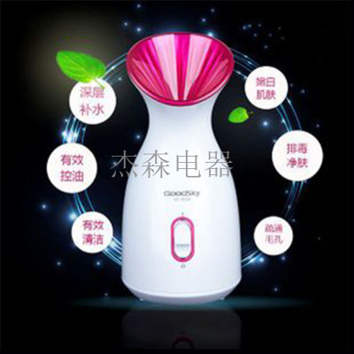 Facial Steamer for Home Beauty Instrument Moisturizing Water Replenishing Instrument Facial Humidifier Nano Anion Mist Blower