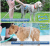 Woof Washer360 Pet Shower Tool 360 Degrees Dog Bath Device Pet Bath Device