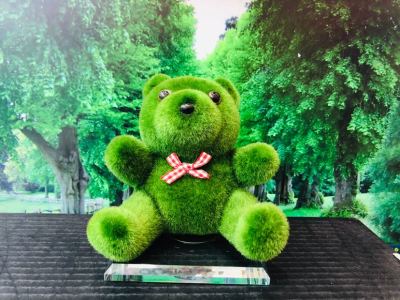 2015 New Loose Bear Doll Foam Particle Flocking Doll Doll Puppet Children's Birthday Gifts