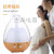 Transparent Egg Aroma Diffuser AJ-506