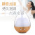 Transparent Egg Aroma Diffuser AJ-506