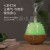 Transparent Egg Aroma Diffuser AJ-506